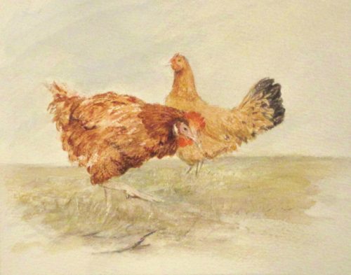 Two Hens (24cm x 18.9cm)