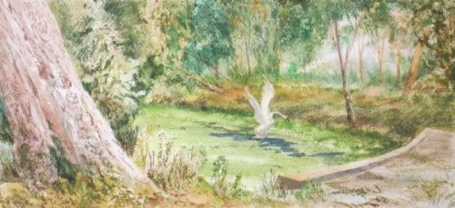 Ixworth: Black Bourn River (33.7cm x 15.4cm)