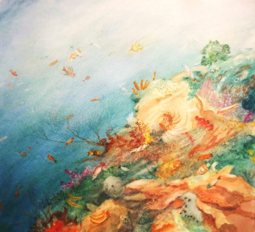 The Resilience Of The Great Barrier Reef (38.8cm x 35.8cm)